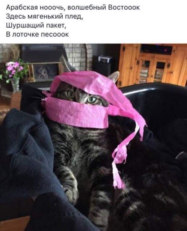 Подборка смешных картинок с надписями со смыслом (12 фото) Подборка смешных картинок с надписями со смыслом (12 фото)