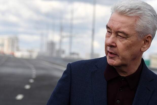 Собянин высказал свое отношение к идее объединить Москву и Подмосковье