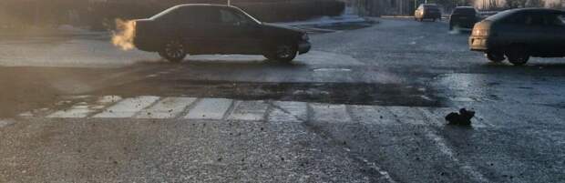 Ямы возвращаются: карагандинцы критикуют ремонт холодным асфальтом