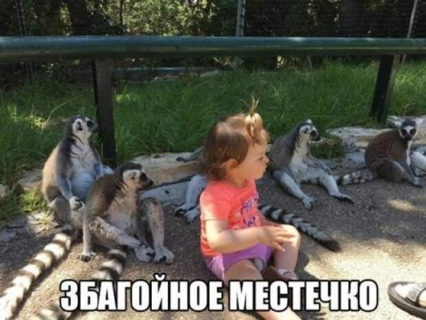 Коллекция прикольных кaртинок со смешными подписями  прикол, юмор