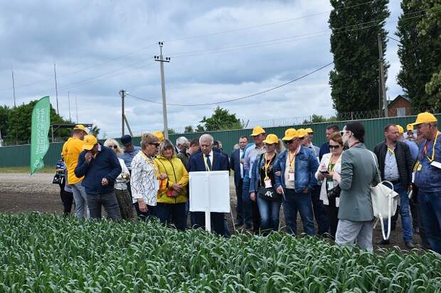 «Кубаньхлеб»: качество семенного материала гарантируем