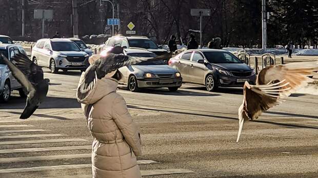 Весенний привет перед бурей. Фоторепортаж с солнечных улиц Барнаула