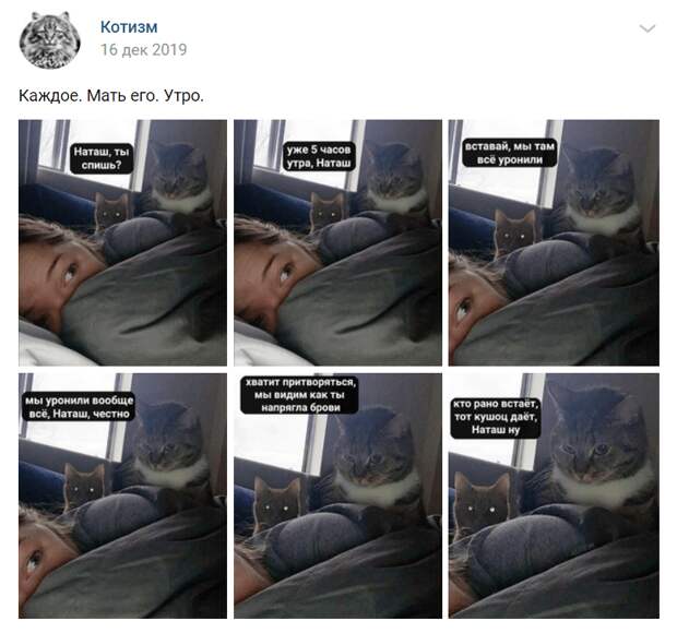 наташ, мы все уронили