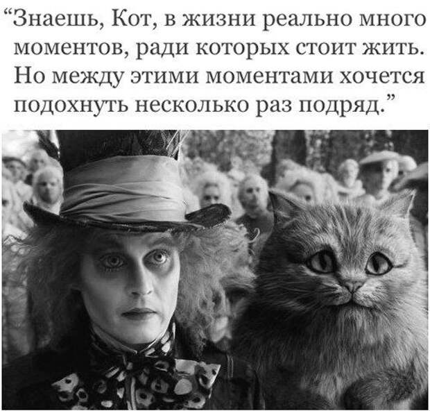 Прикольные картинки. Дневной выпуск (58 фото) Прикольные картинки. Дневной выпуск (58 фото)
