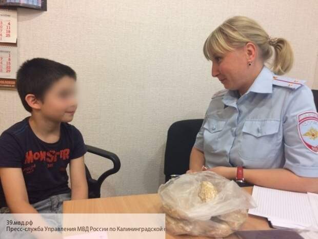 Повышение выплат за детей до 400 тыс грн не остановит катастрофу в демографии Украины 