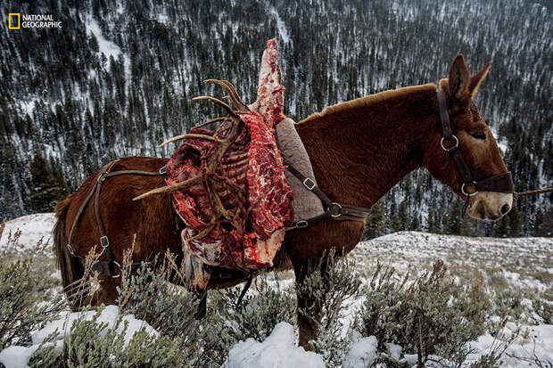 best-photos-2016-natgeo-national-geographic-73