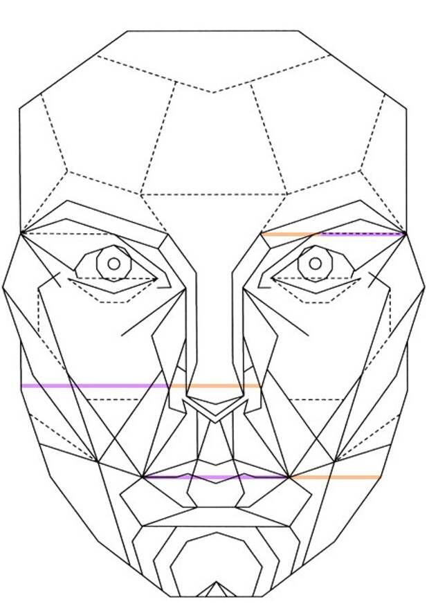 Золотое сечение лица схема