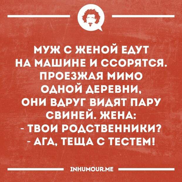 Смешные открытки, которые зарядят позитивом