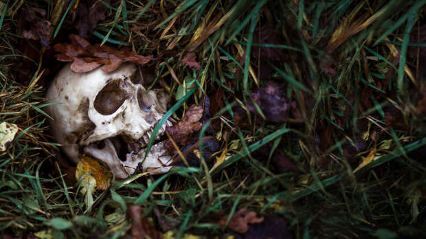 Девушки пришли на кладбище и нашли в траве человеческий череп