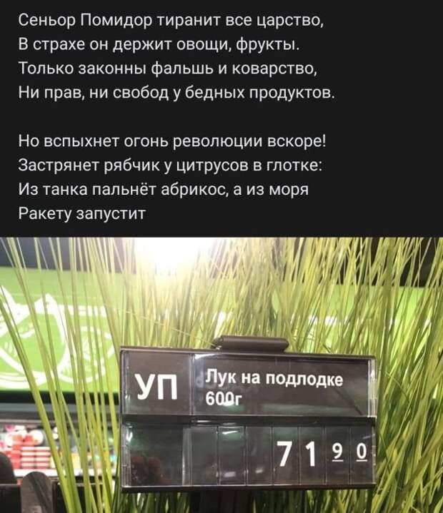 стих про лук