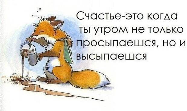 https://pp.vk.me/c7004/v7004738/2023c/wmE_GiyRCeI.jpg