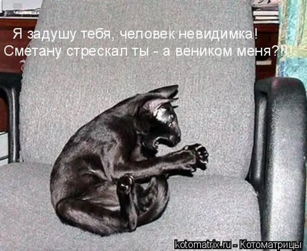 bp.webp