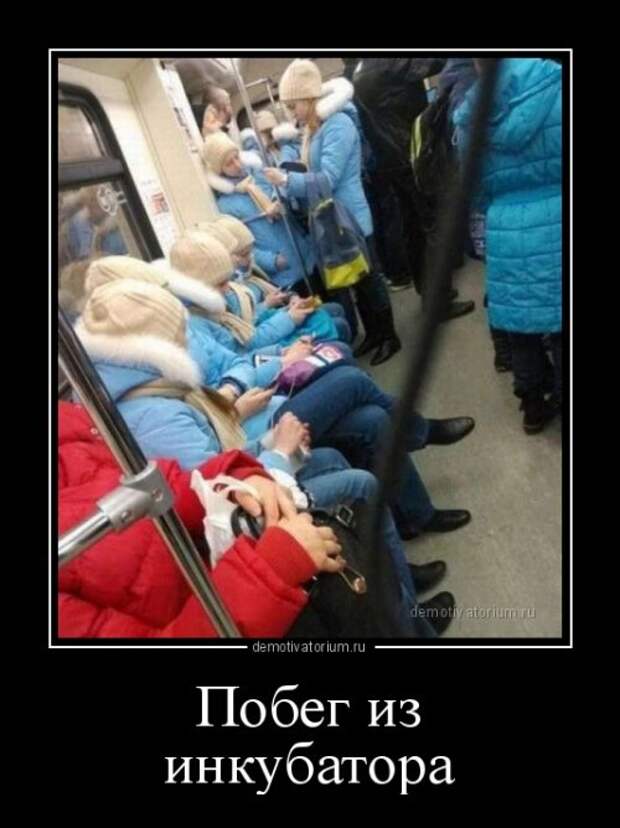 Свежая порция демотиваторов (15 шт)