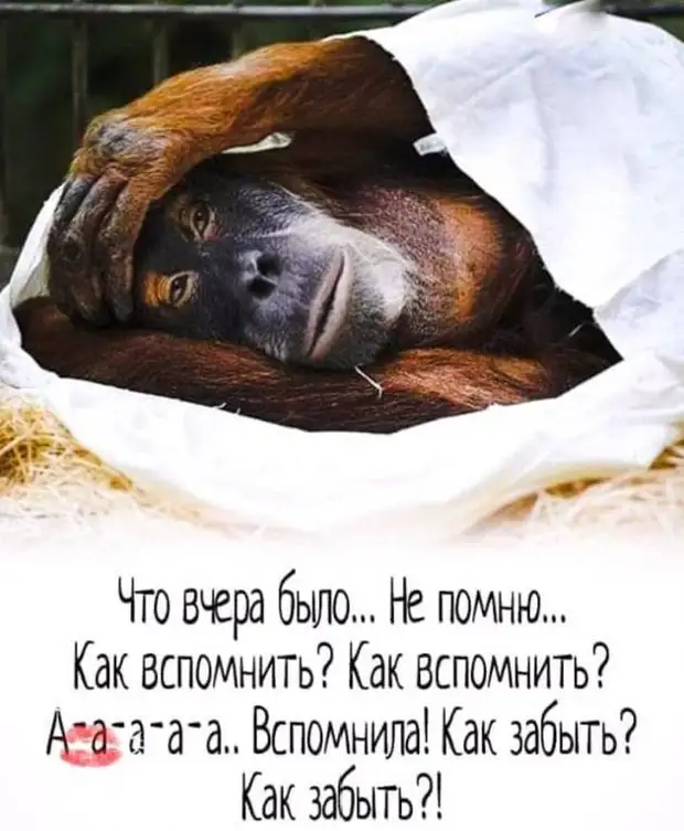 В любом доме у женщины всегда есть своя отдельная комната, и там она веселится вовсю...