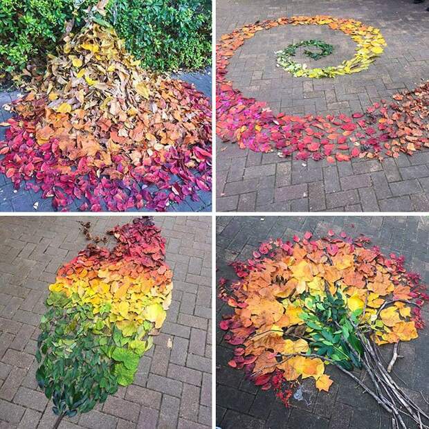 Fallen Leaf Art