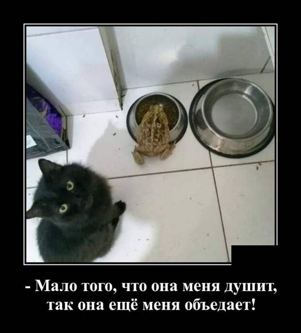 Демотиваторы (30 фото)