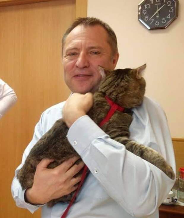 Уральские депутаты поддержали законопроект о запрете «мягких лапок» у котиков