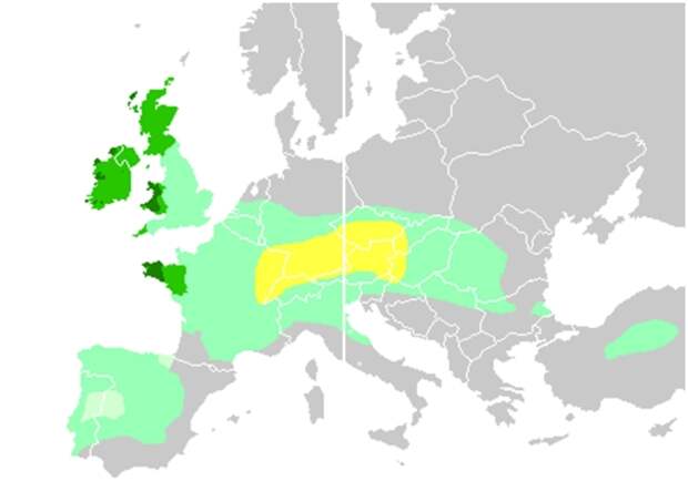 Фрагменты карты распределения кельтских народов.