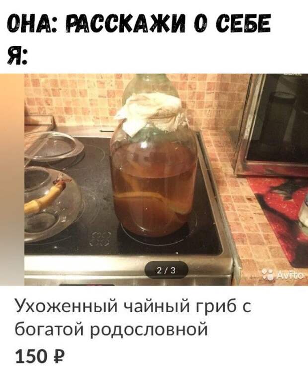Подборка картинок. Вечерний выпуск (24 фото)