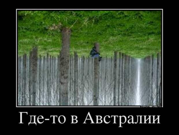 Смешные демотиваторы (18 шт)