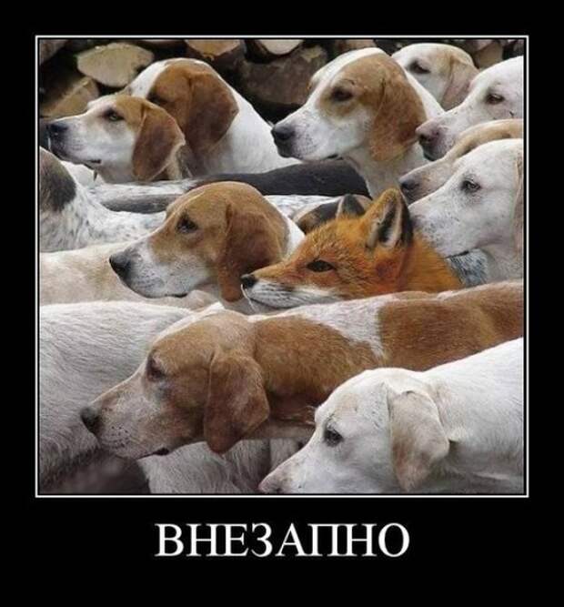 www.vsyako.net