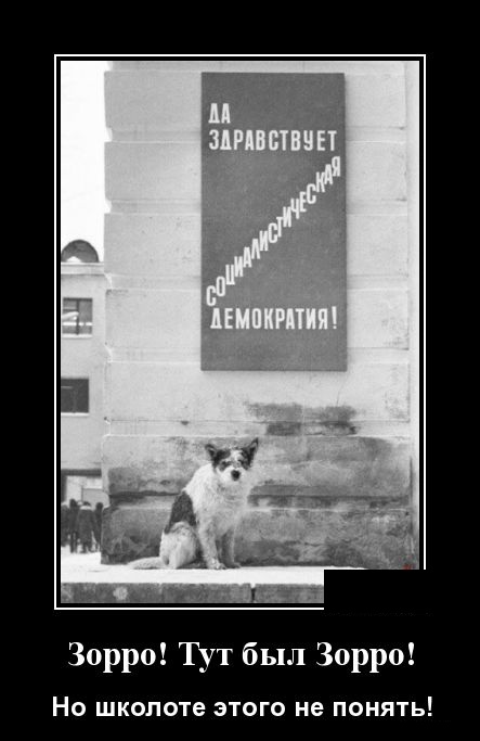 Демотиваторы (30 фото)