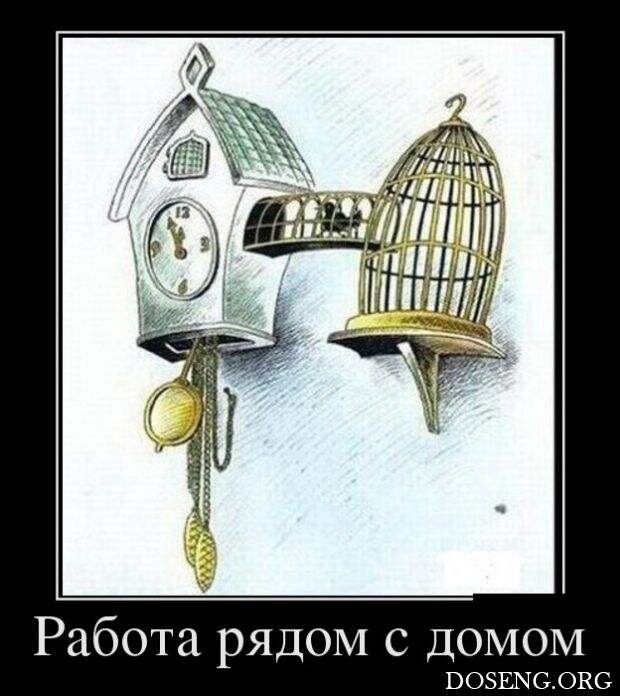 Демотиваторы