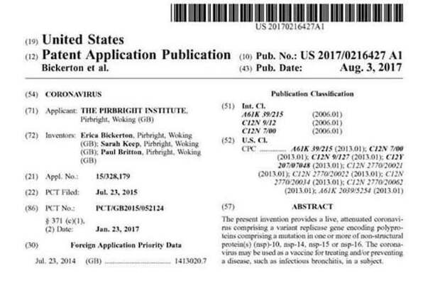 Споры о происхождении COVID-19 можно завершить – он был создан в США