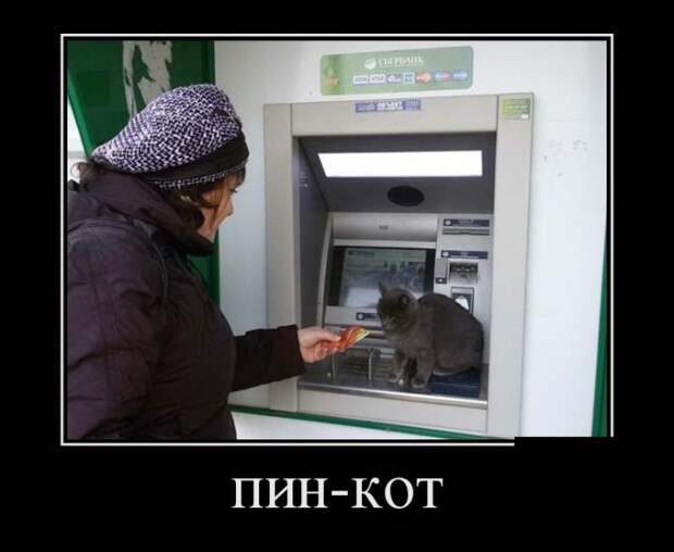 Демотиваторы