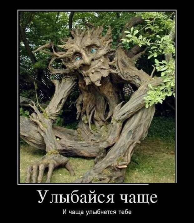 Прикольные демотиваторы на любой вкус (19 шт)