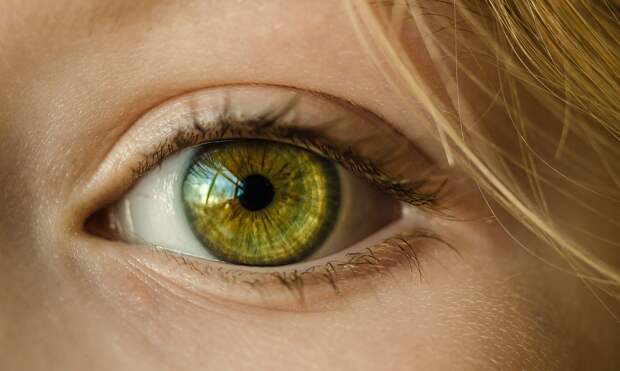 Офтальмолог Дементьев: усталость глаз может быть симптомом астенопии