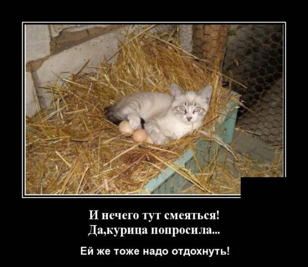demotivatory-demotivator-smeshnye-demotivatory-demotivator-so-smyslom