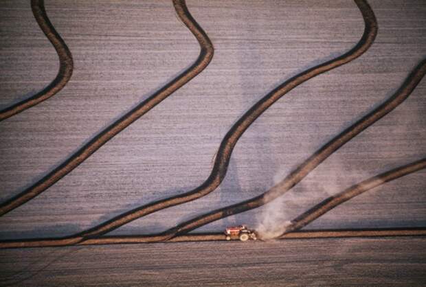 Невероятные узоры на рисовых полях осень, сбор урожая
