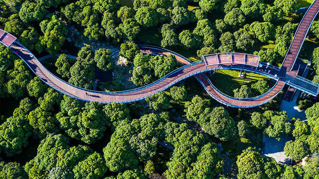 Ближе к природе: над китайским парком построили крутые пешеходные мосты город, китай, красиво, мир, мост, планета, природа, фото