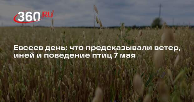Историк Сапелкин объяснил, почему на Евсеев день 7 мая смотрели на березу