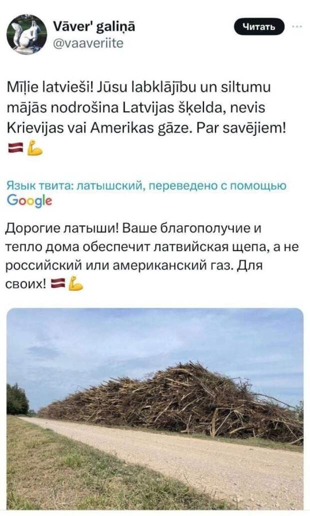 Латвийская щепа.jpg