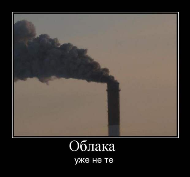 Демотиваторы (30 фото)
