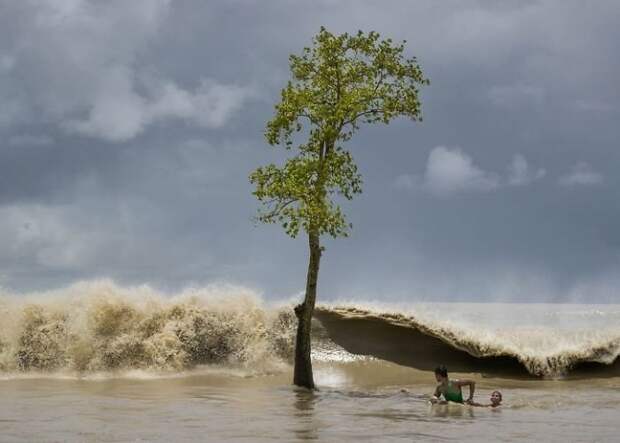 Рыбак спасает ребенка во время прилива national geographic, животные, конкурс, лучшие, пейзаж, победители