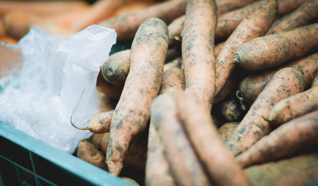Привет из Молдавии: Морковь с нитратами обнаружили в Нижегородской области