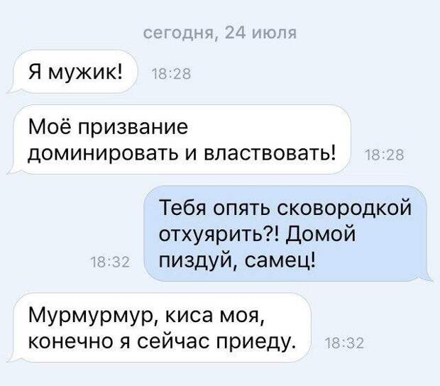 Приколы Приколы