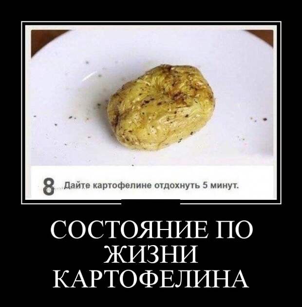 Демотиваторы (30 фото)