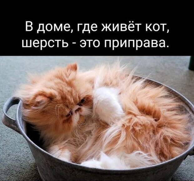 Свежие хорошие ржачные до слез картинки