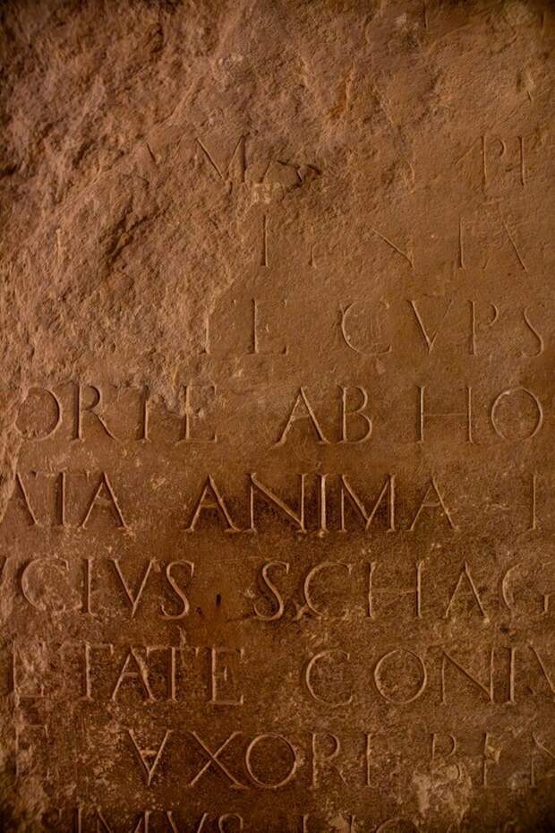 Ученые обнаружили древние записи туристов в гробницах Луксора