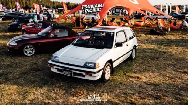 tsunami picnic x lowdaily 39