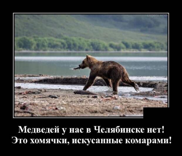 Демотиваторы (30 фото)