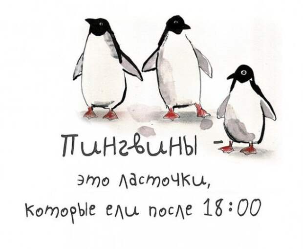 Мудрые мысли в прикольных картинках Мудрые мысли в прикольных картинках