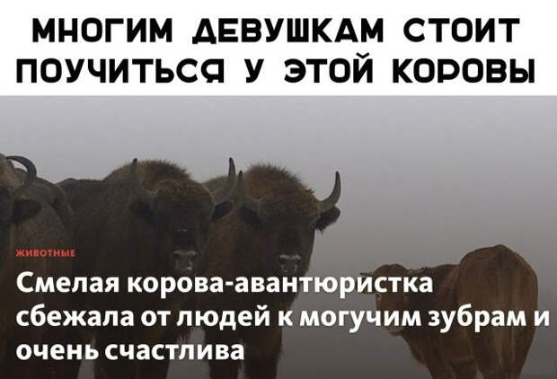 Перлы из социальных сетей на самые актуальные темы Перлы из социальных сетей на самые актуальные темы