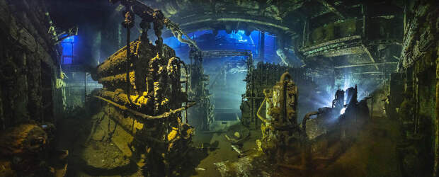 17 фотографий победителей фотоконкурса Underwater Photographer of the Year