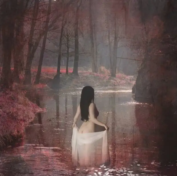 �������� � �������� �� ������. Ellen M McDermott