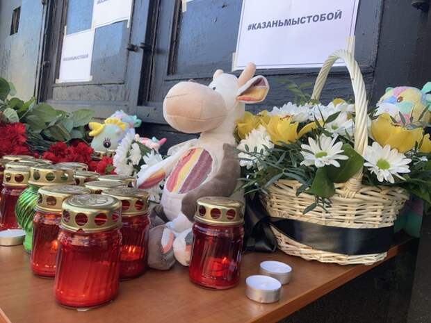 «Неужели наши дети менее важны, чем „Газпром“?»: от властей потребовали организовать охрану всех образовательных учреждений в РФ силами Росгвардии